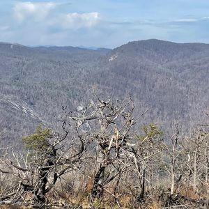 Meet your Posher, Kristin